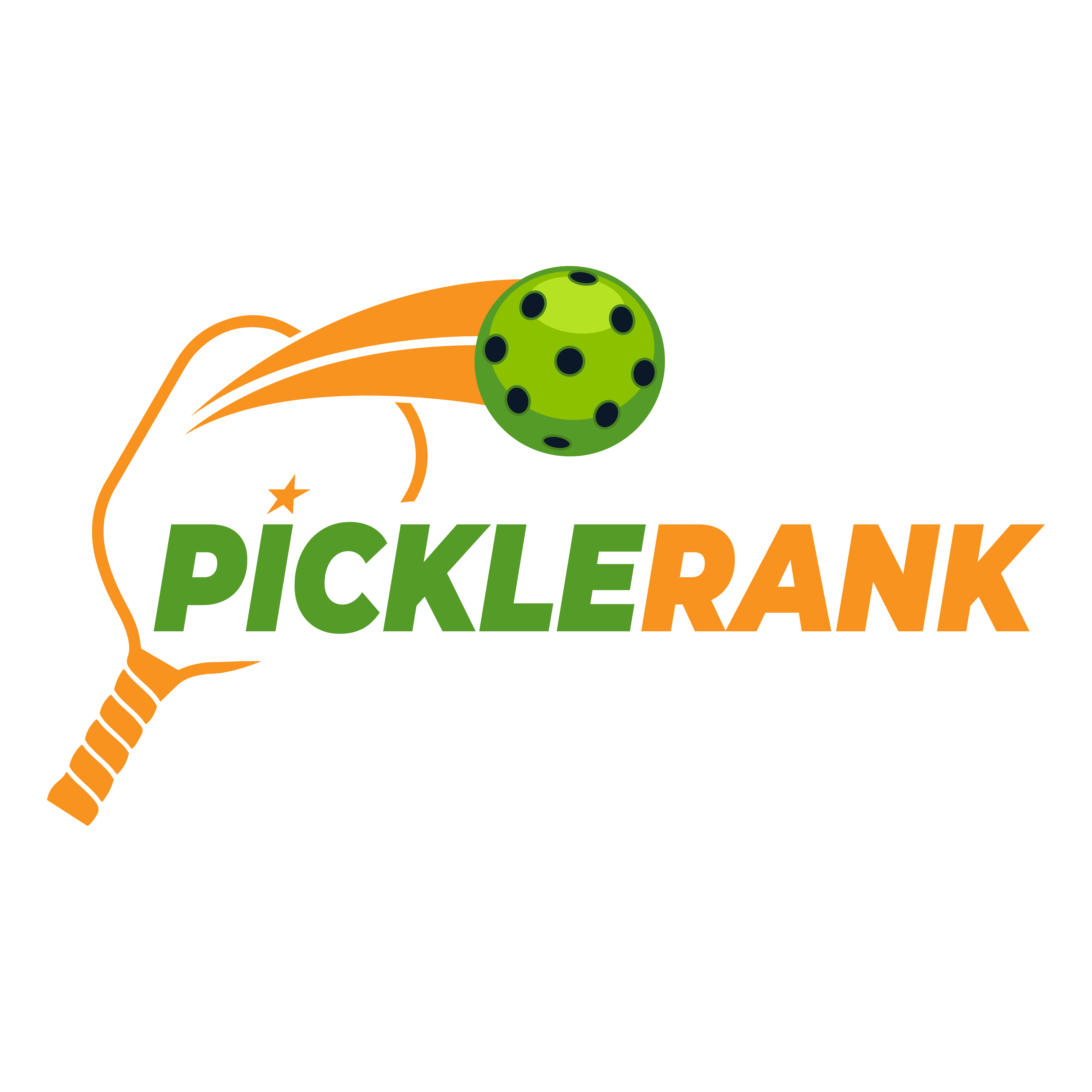 PickleRank